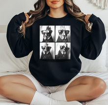 Load image into Gallery viewer, Chickens in Shades
